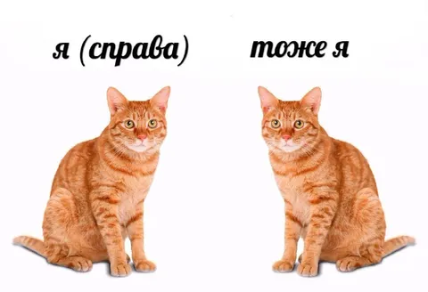 Я справа и тоже я