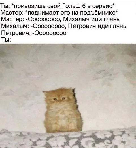 Гольф 6 в сервисе