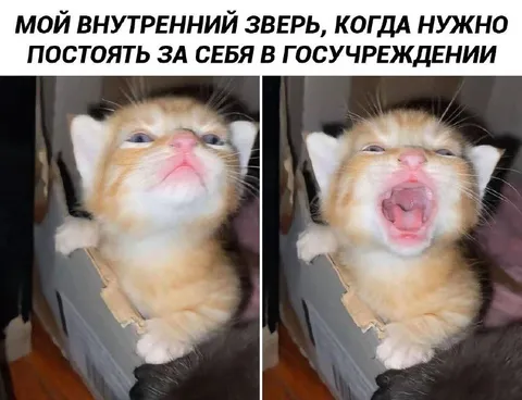 Внутренний зверь в госучреждении