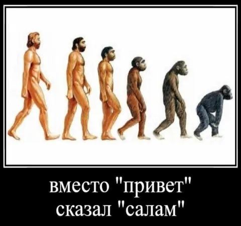 Вместо привет сказал салам