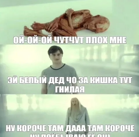 Белый дед и гнилая кишка