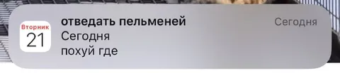 Отведать пельменей сегодня