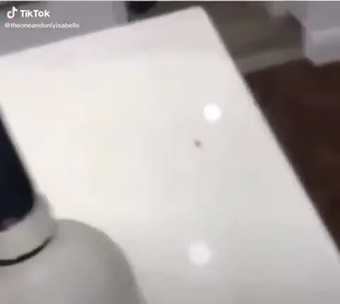 Chopin Bottle Turns Into Cooking