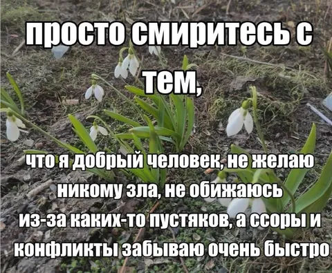 Добрый человек быстро забывает конфликты