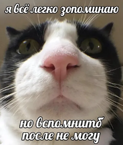 Легко запоминаю, но не вспоминаю