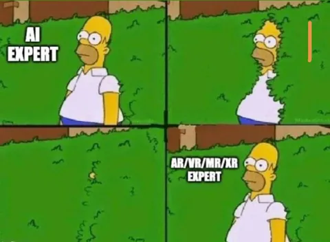 AR VR MR XR Expert