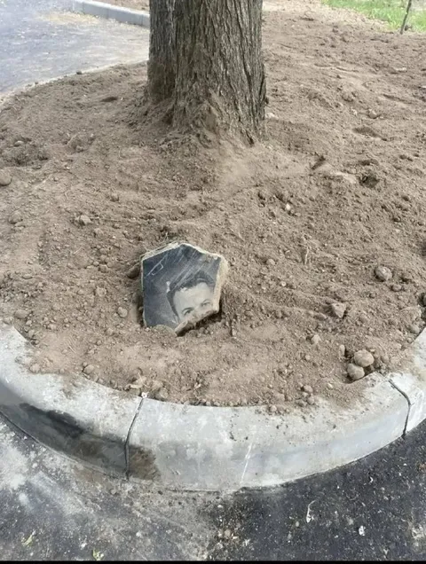 Земля с кладбища