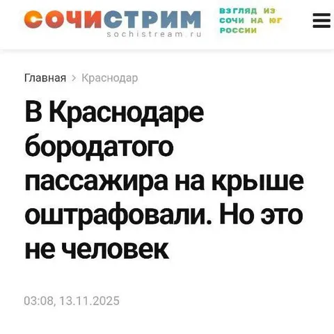 Бородатого пассажира оштрафовали