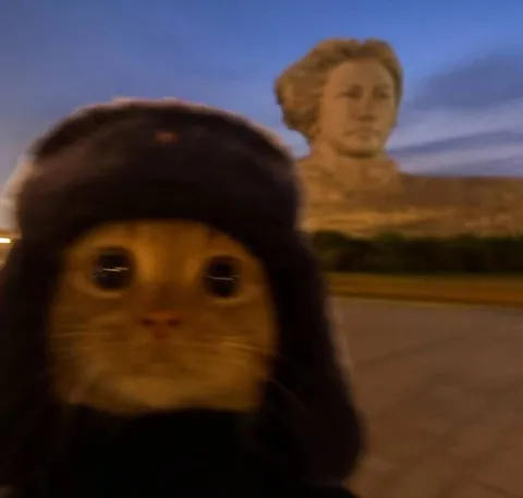 Кот на фоне памятника