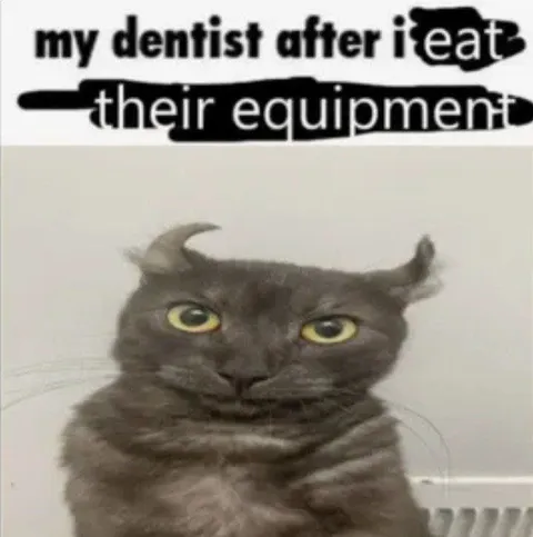 Dentist After I Eat Their Equipment