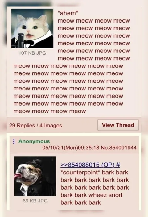 Cat Meows, Dog Counterpoint