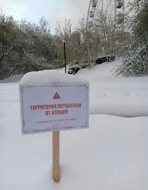 Территория обработана от клещей зимой