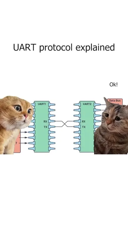 Cats Explain UART Protocol