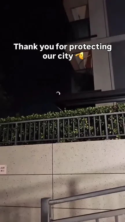 Cat Protecting the City