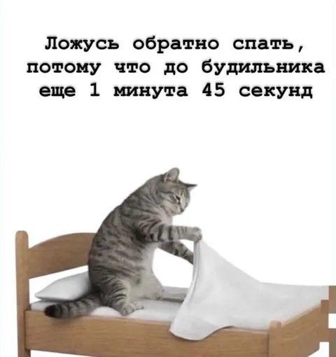 Ещё 1 минута до будильника