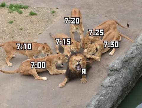 Я пришёл на работу первым