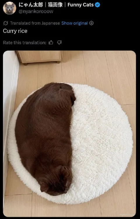 Cat Shaped Like Curry Rice