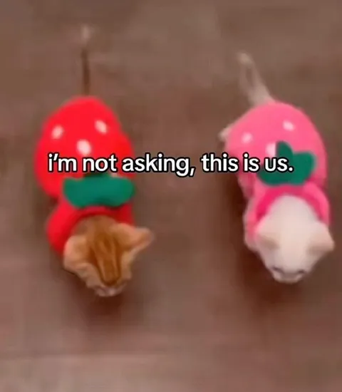 I’m Not Asking, This Is Us