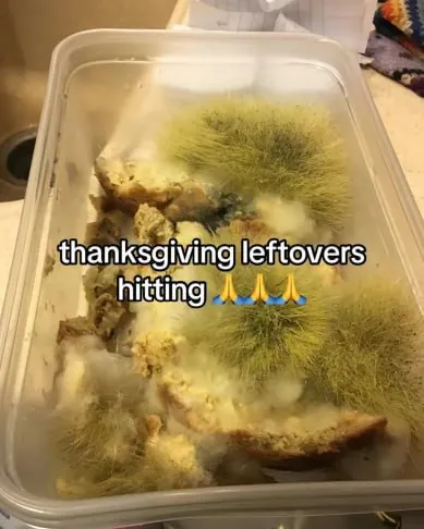Thanksgiving Leftovers Hitting