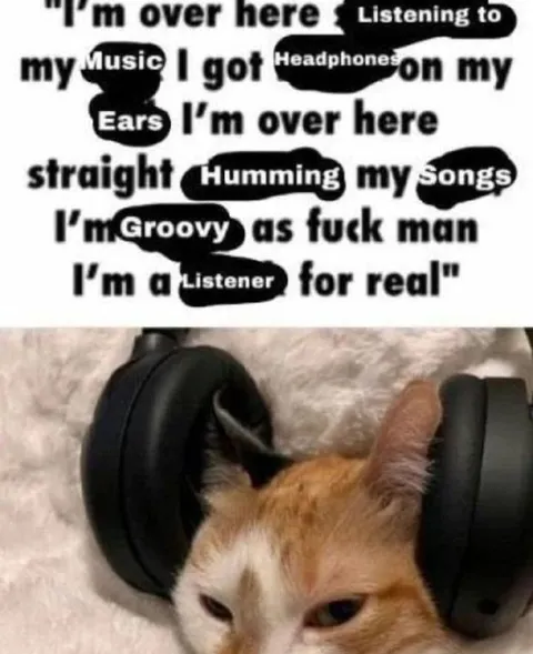 Cat Listening to Music