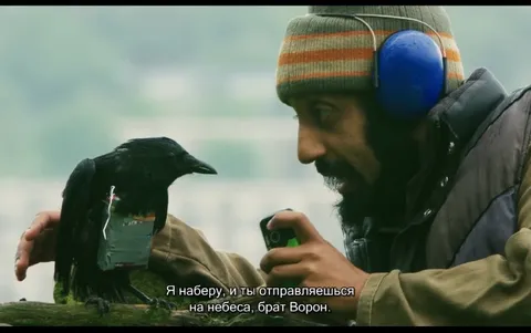 Брат Ворон отправляется на небеса