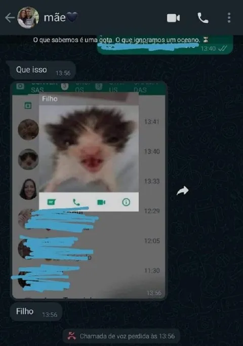 Mãe manda gato filosófico