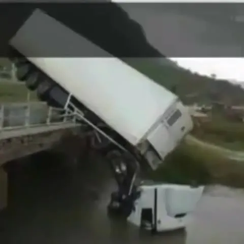 Wildlife Accident Was a Fish