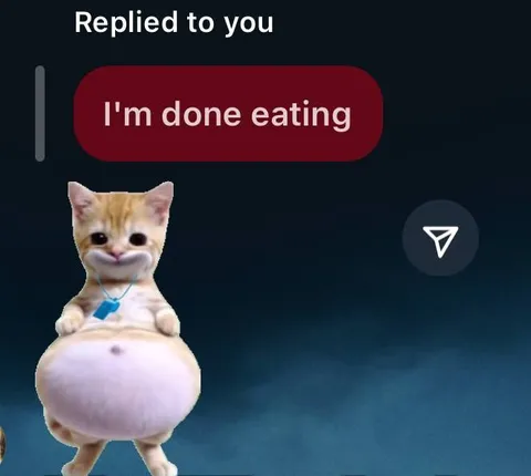 I'm Done Eating Cat