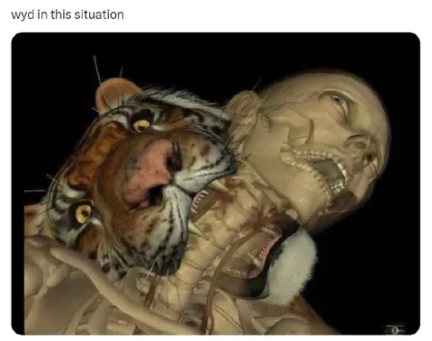WYD in This Situation