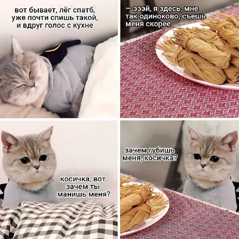 Кот услышал косичку с кухни