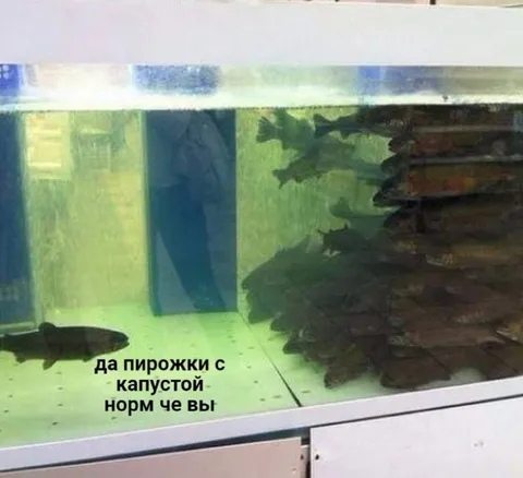 Пирожки с капустой норм