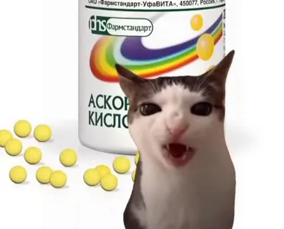 Кот съел все витаминки