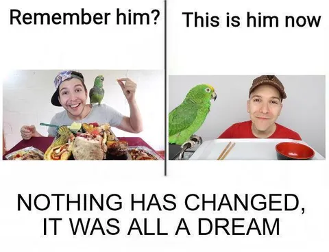 Nothing Has Changed Parrot Dream
