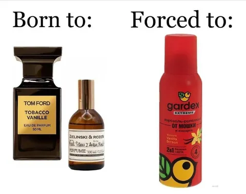 Born to Luxury, Forced to Gardex