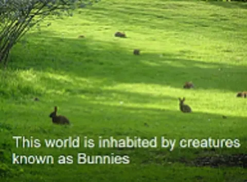 This World Is Inhabited by Bunnies