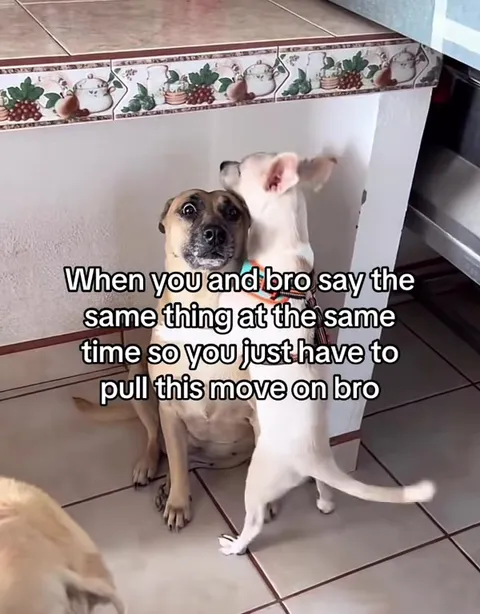 Same Thing at the Same Time
