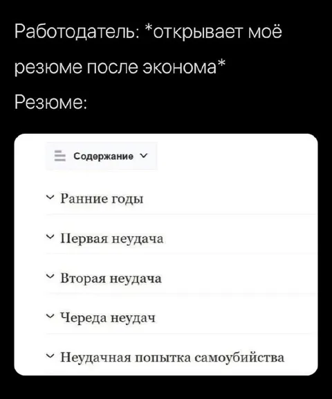 Резюме после эконома