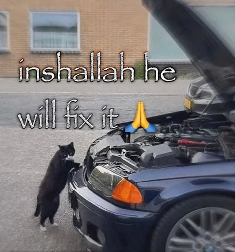 Inshallah He Will Fix It