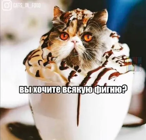 Вы хотите всякую фигню?