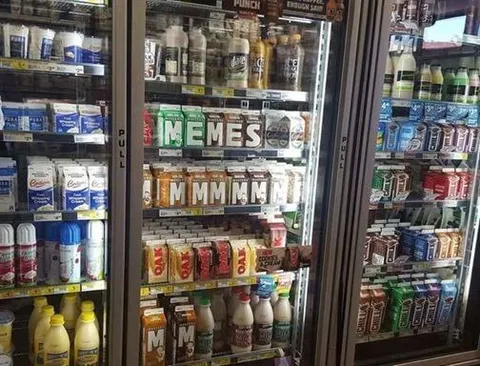 Memes in the Fridge