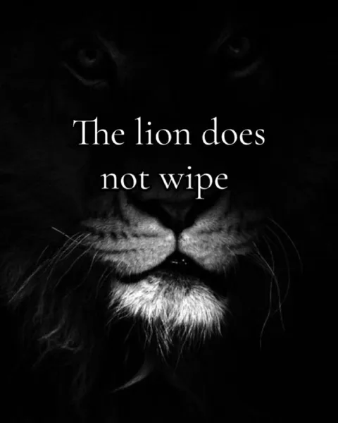 The Lion Does Not Wipe