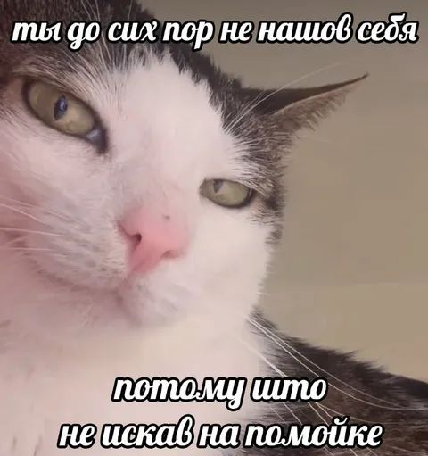 Не нашёл себя на помойке