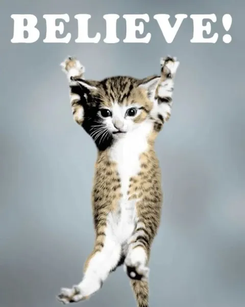 Believe Cat Meme