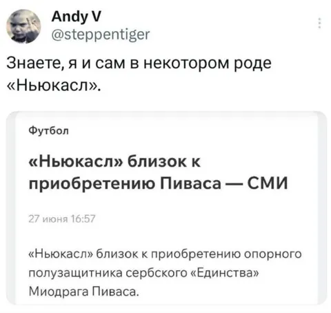 Ньюкасл снова покупает Пиваса