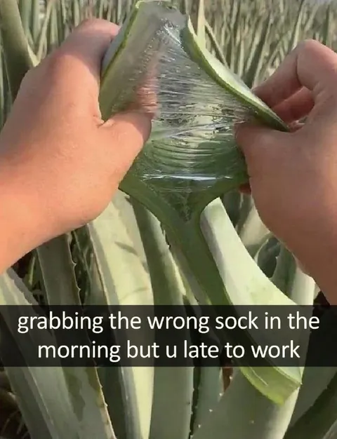 Grabbing the Wrong Sock
