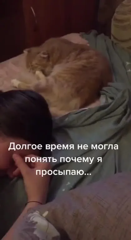 Почему я просыпаюсь ночью