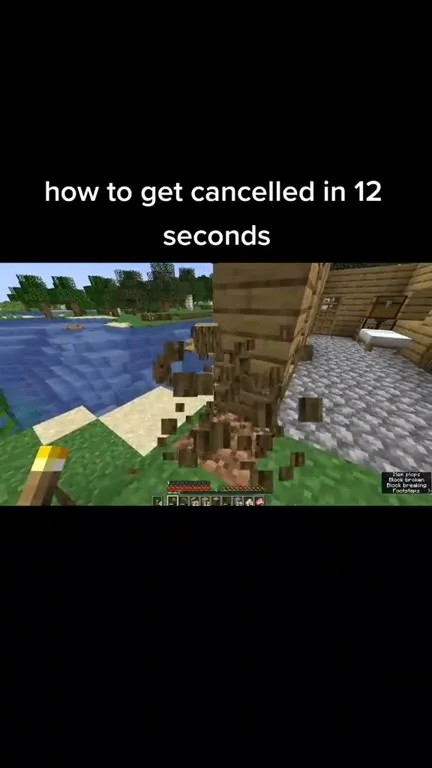 How to Get Cancelled in 12 Seconds