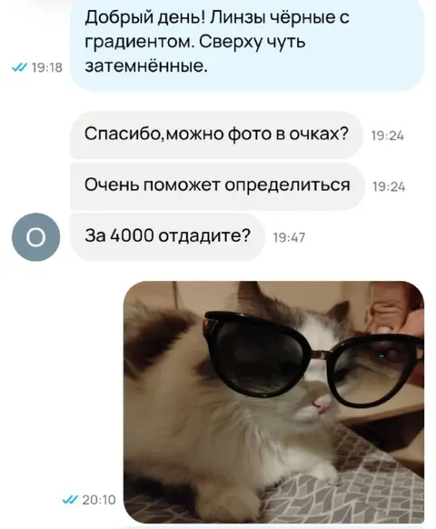Кот в очках за 4000