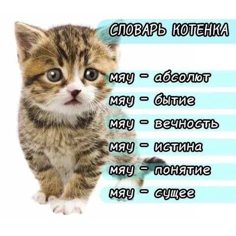 Словарь котенка
