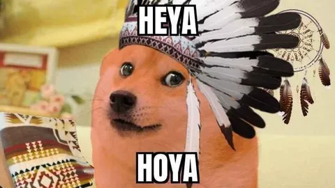 HeYa HoYa Doge